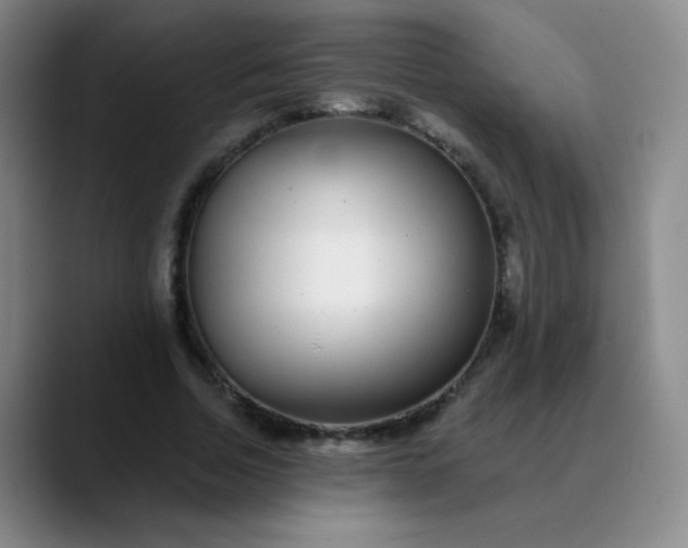 X0000089880730200707121812