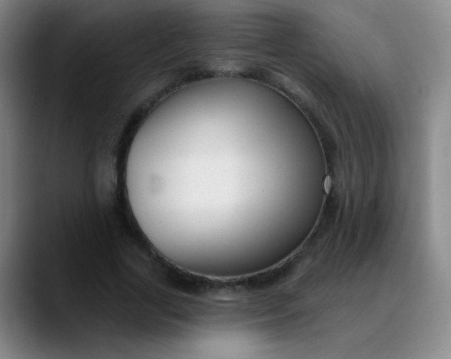 X0000089880731200707121812