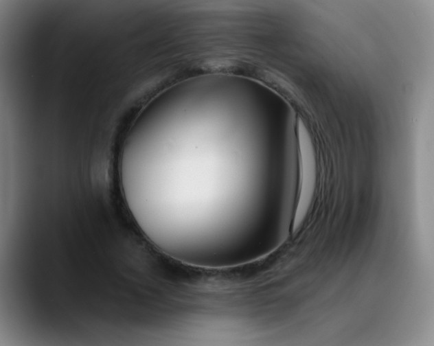 X0000089880732200707121812