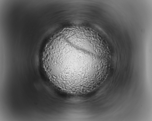 X0000089880734200707121812