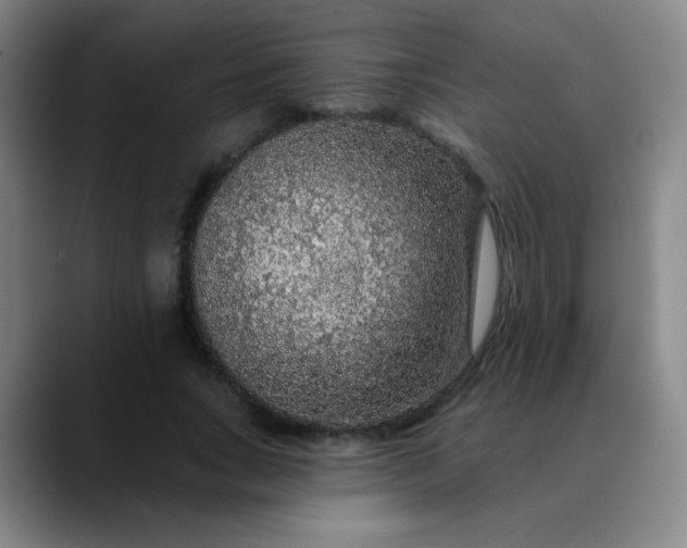 X0000089880735200707121812