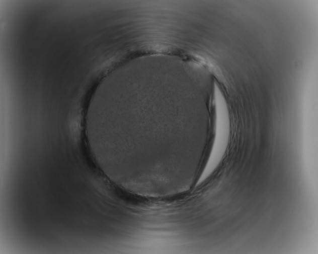 X0000089880736200707121812