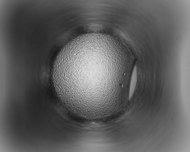 X0000089880737200707121812