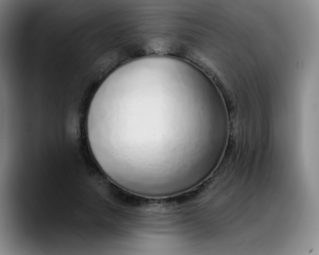 X0000089880738200707121812