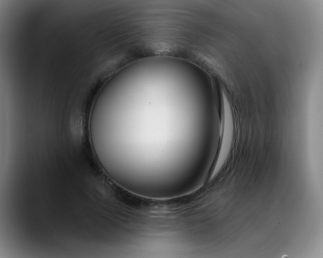 X0000089880740200707121812