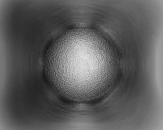 X0000089880741200707121812