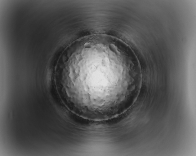 X0000089880742200707121812