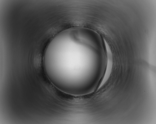 X0000089880744200707121812