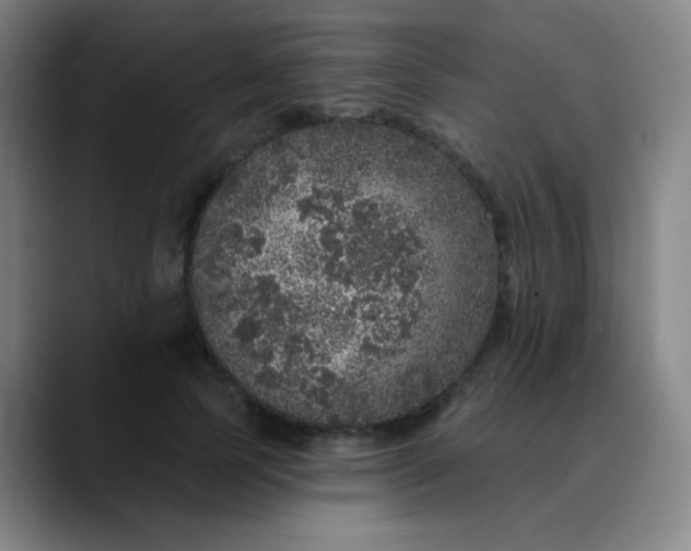 X0000089880745200707121812