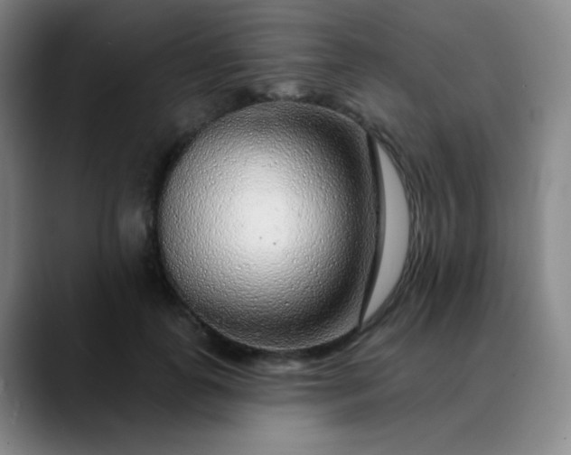 X0000089880747200707121812