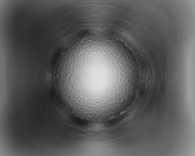 X0000089880749200707121812