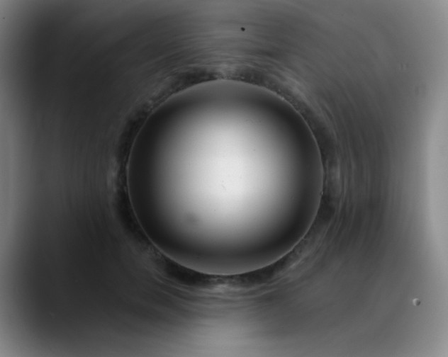 X0000089880750200707121812