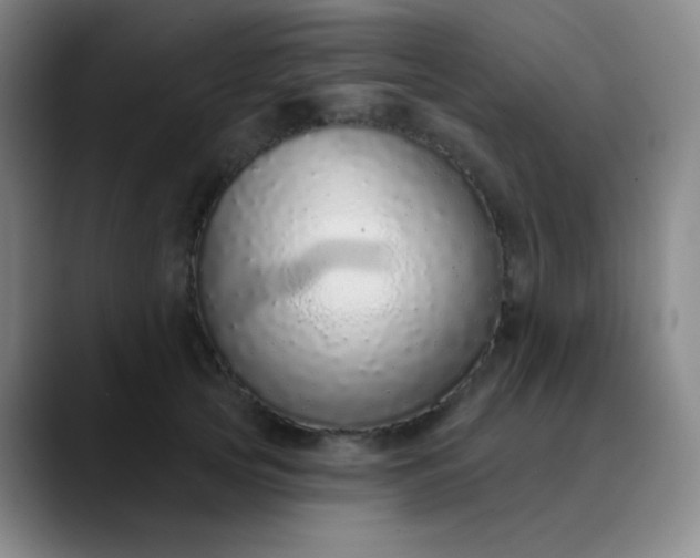 X0000089880753200707121812