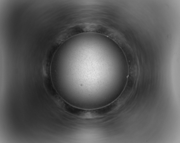 X0000089880755200707121812