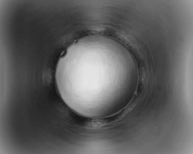 X0000089880758200707121812