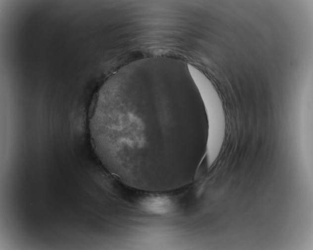 X0000089880760200707121812