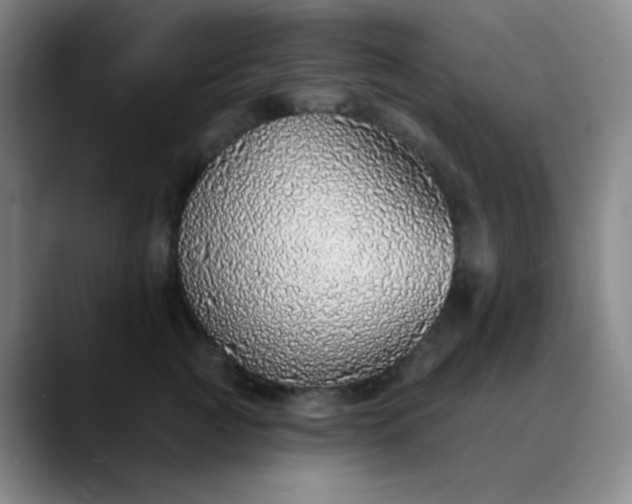 X0000089880761200707121812