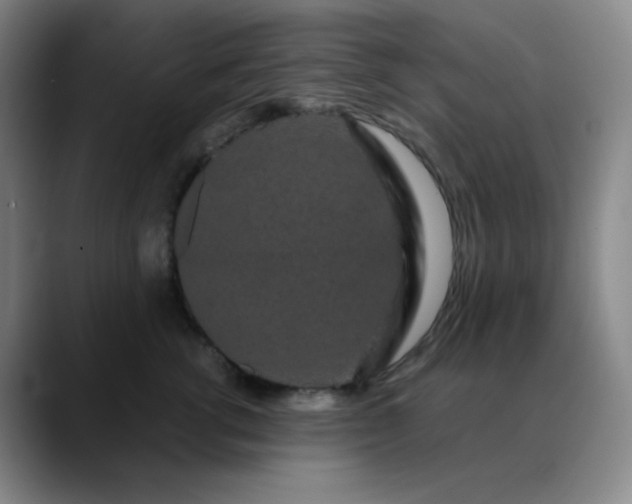 X0000089880762200707121812