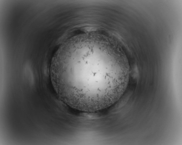 X0000089880763200707121812