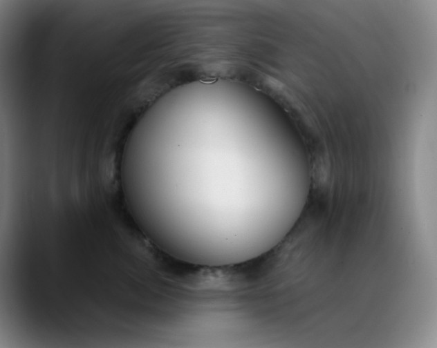 X0000089880764200707121812