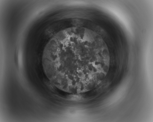 X0000089880765200707121812