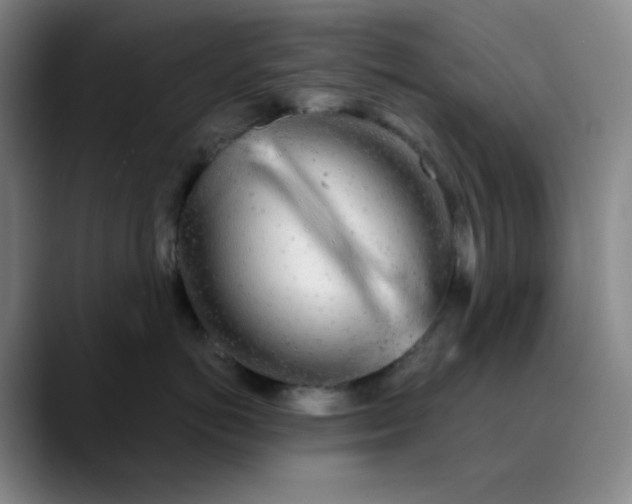 X0000089880766200707121812