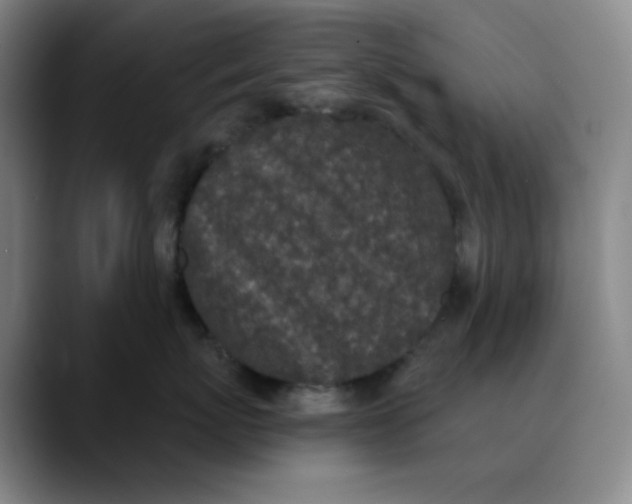 X0000089880767200707121812