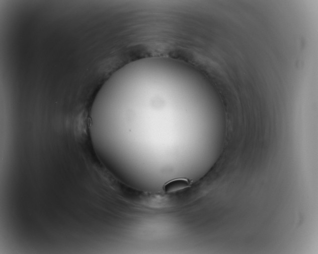 X0000089880768200707121812