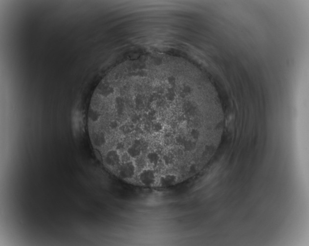 X0000089880772200707121812