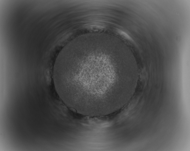 X0000089880774200707121812