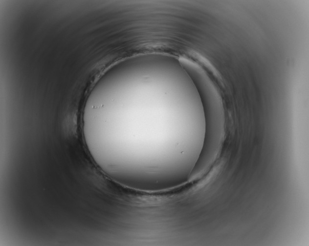 X0000089880777200707121812