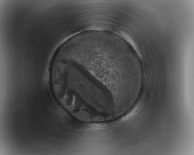 X0000089880779200707121812