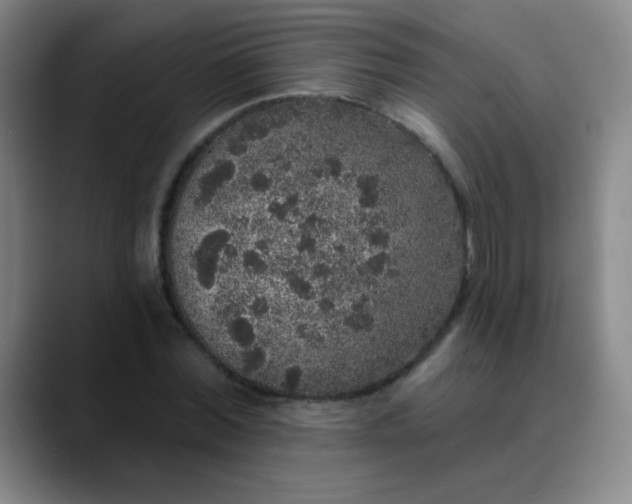 X0000089880780200707121812