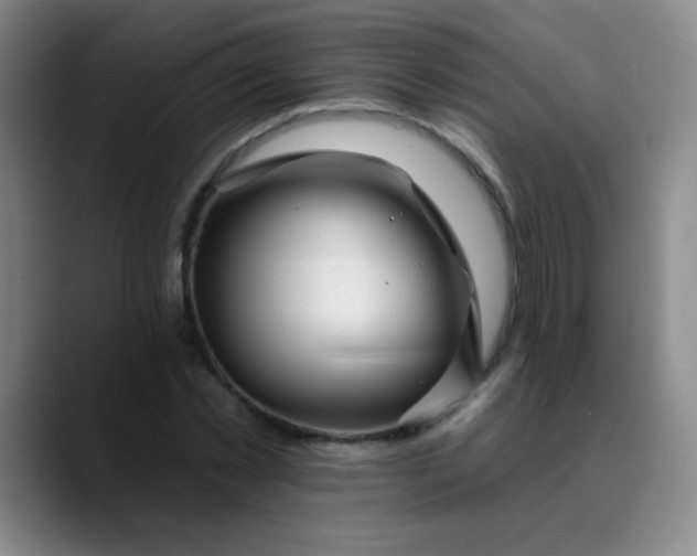 X0000089880781200707121811