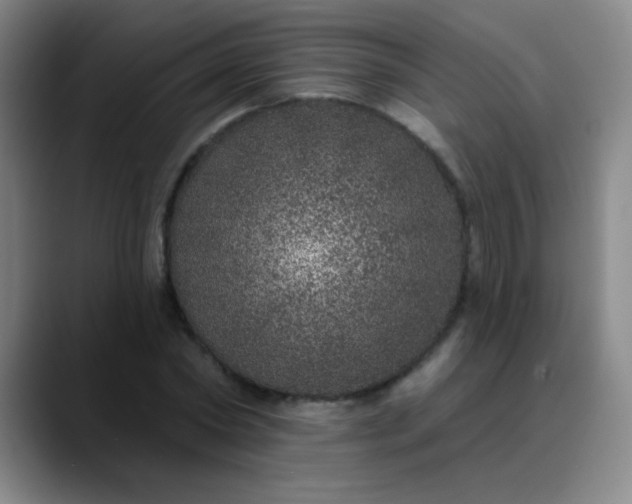 X0000089880782200707121811