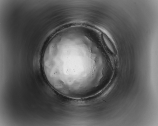 X0000089880783200707121811