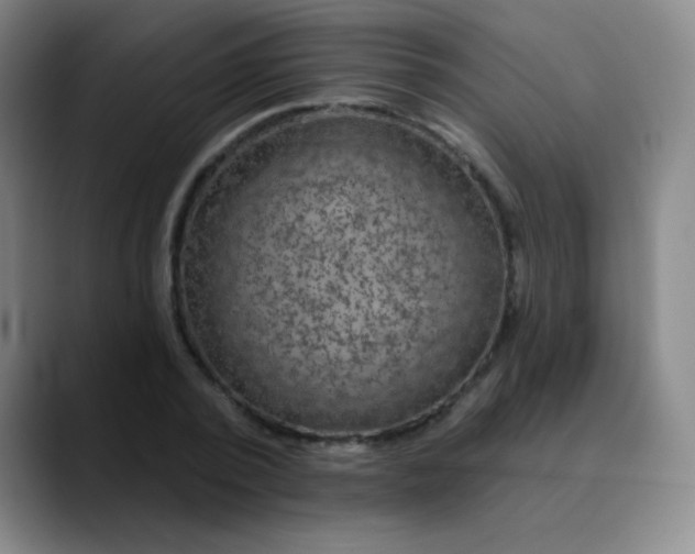 X0000089880784200707121811