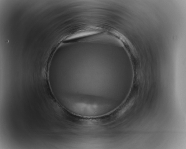 X0000089880785200707121811