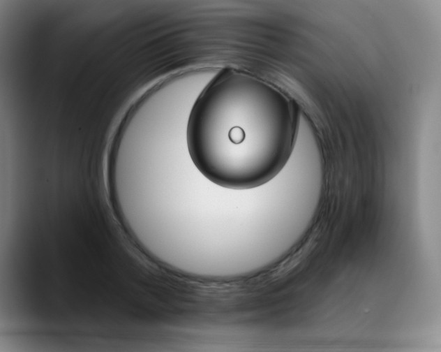 X0000089880788200707121811