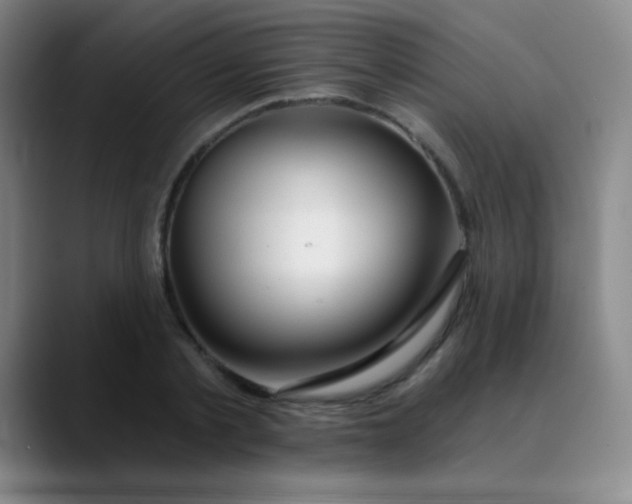 X0000089880789200707121811