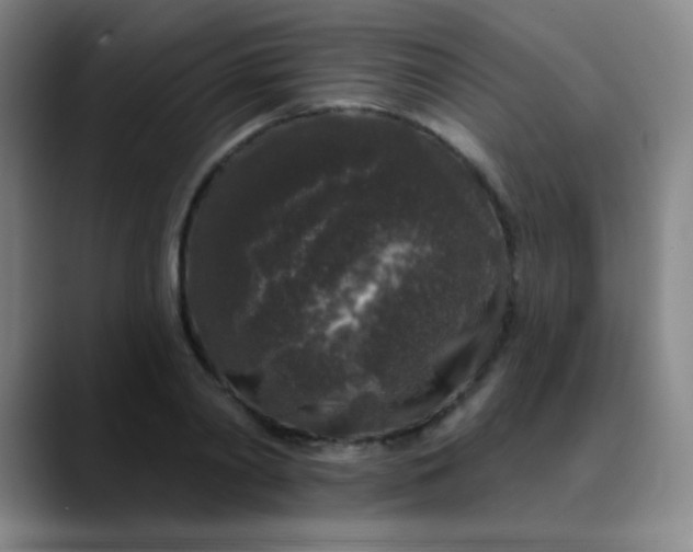 X0000089880790200707121811