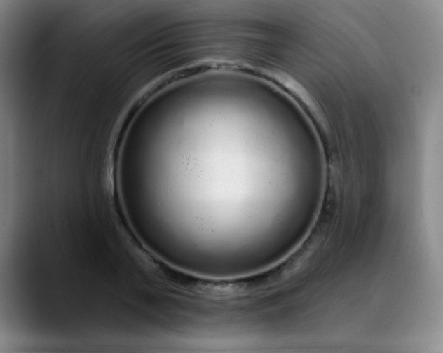 X0000089880791200707121811