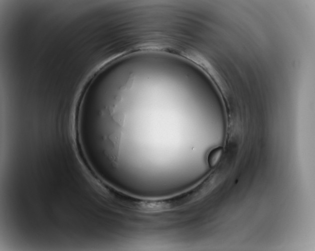 X0000089880795200707121811