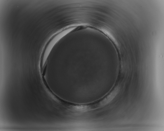 X0000089880797200707121811