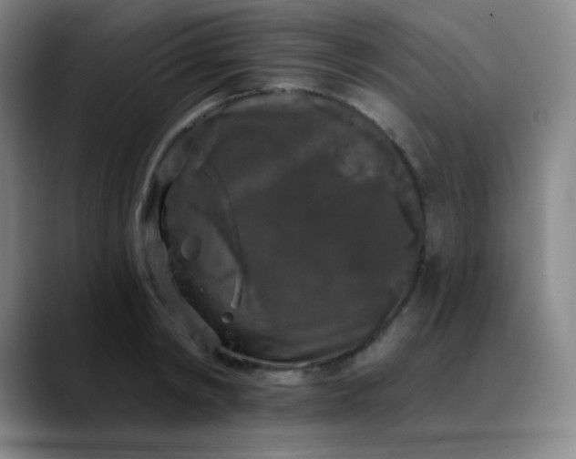 X0000089880798200707121811