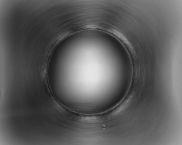 X0000089880801200707121811