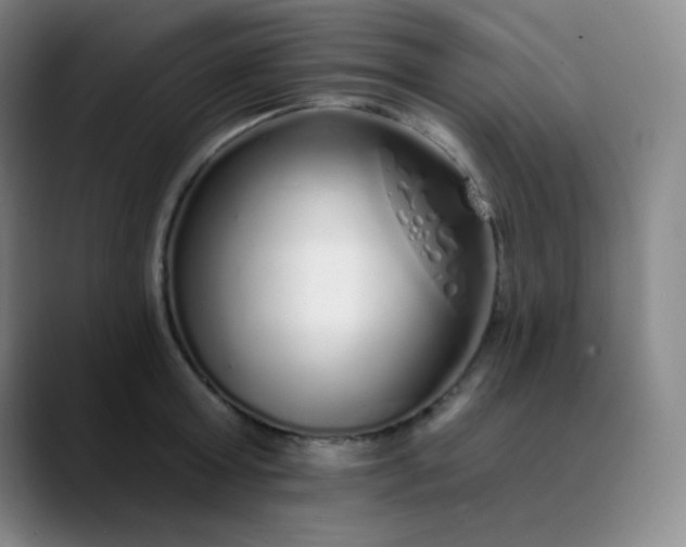 X0000089880803200707121811