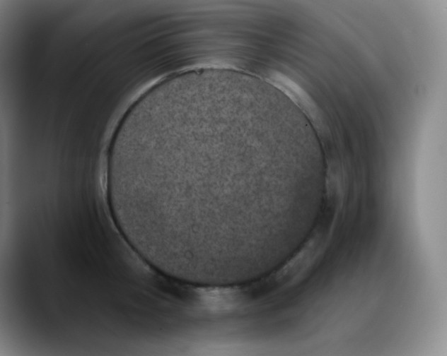 X0000089880804200707121811