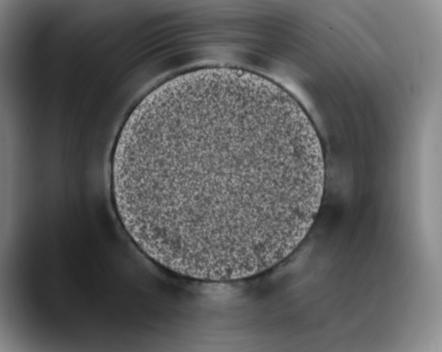 X0000089880807200707121811