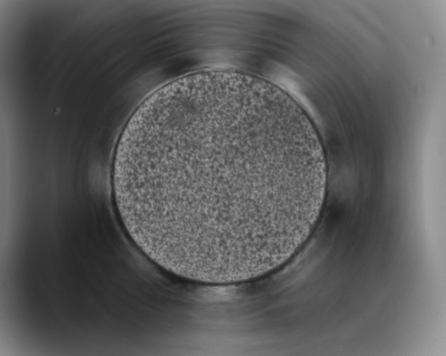 X0000089880810200707121811